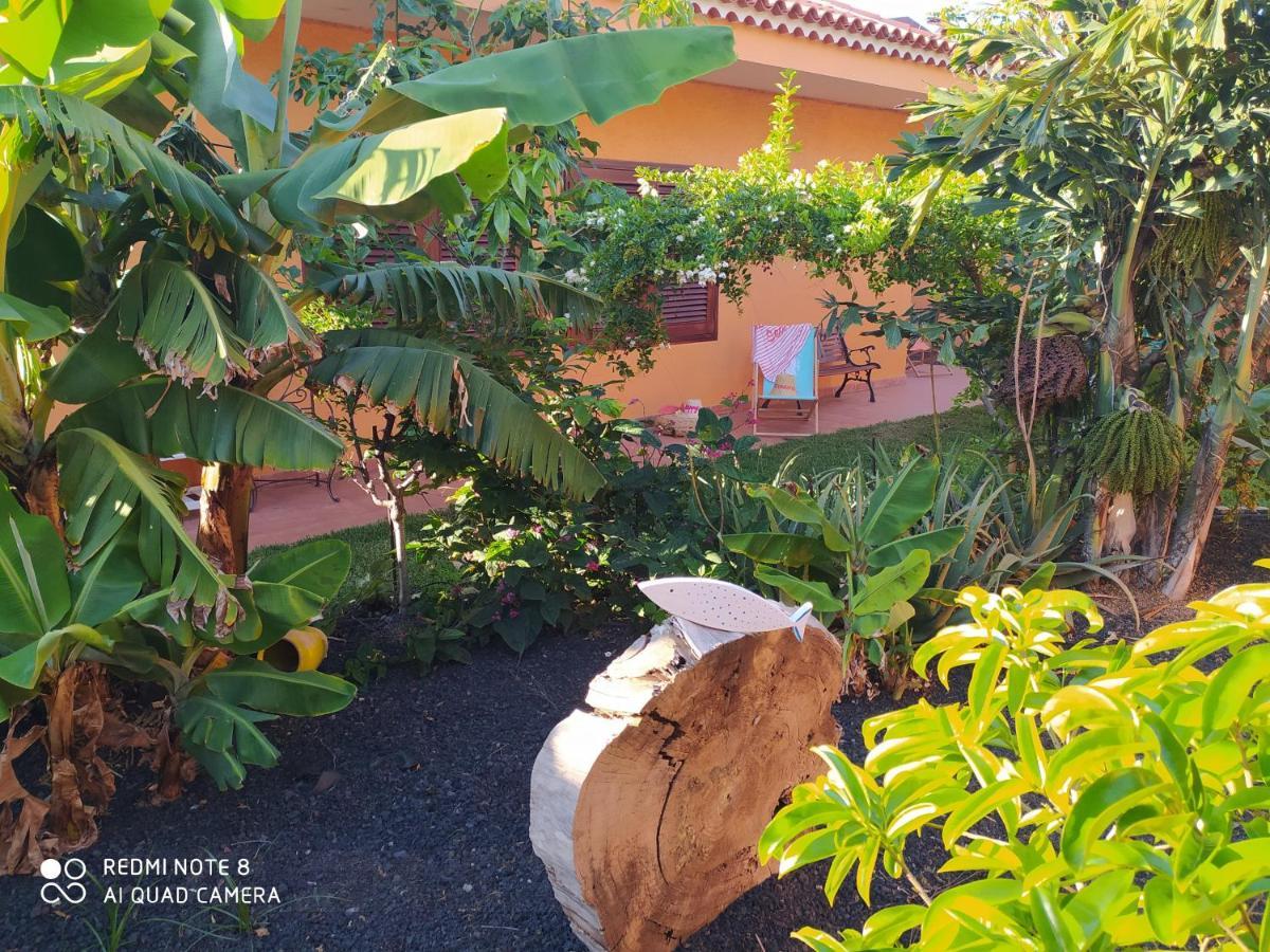 Energy Garden Villa Бахамар Екстериор снимка